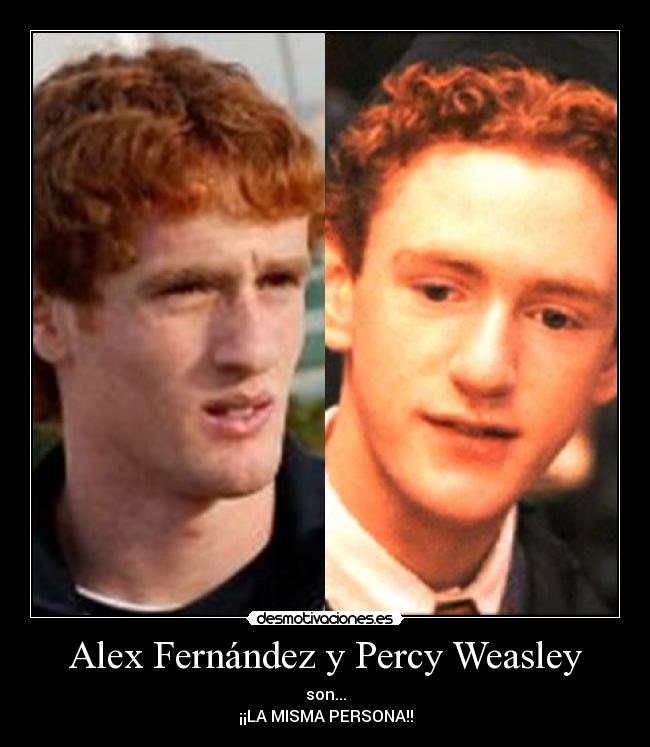 Alex Fernández y Percy Weasley - son...
¡¡LA MISMA PERSONA!!