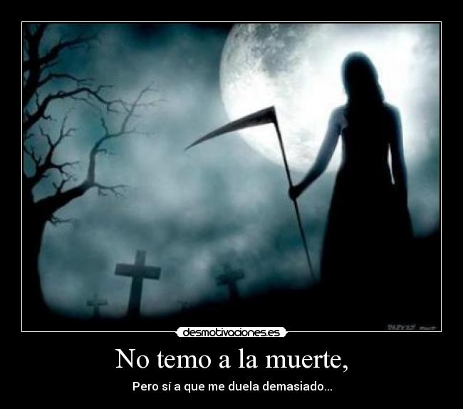 carteles muerte muerte desmotivaciones