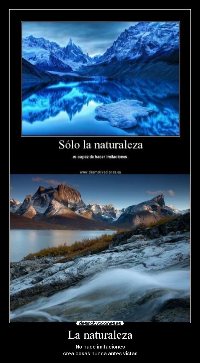 La naturaleza - No hace imitaciones
crea cosas nunca antes vistas
