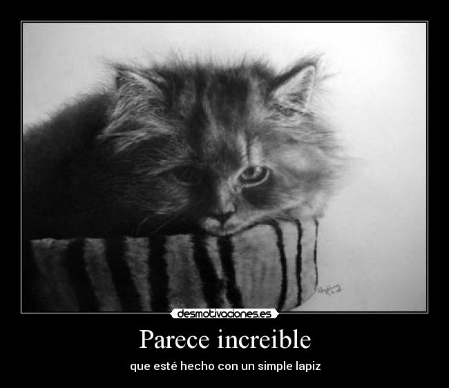 Parece increible - 