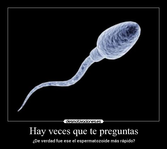 Hay veces que te preguntas -