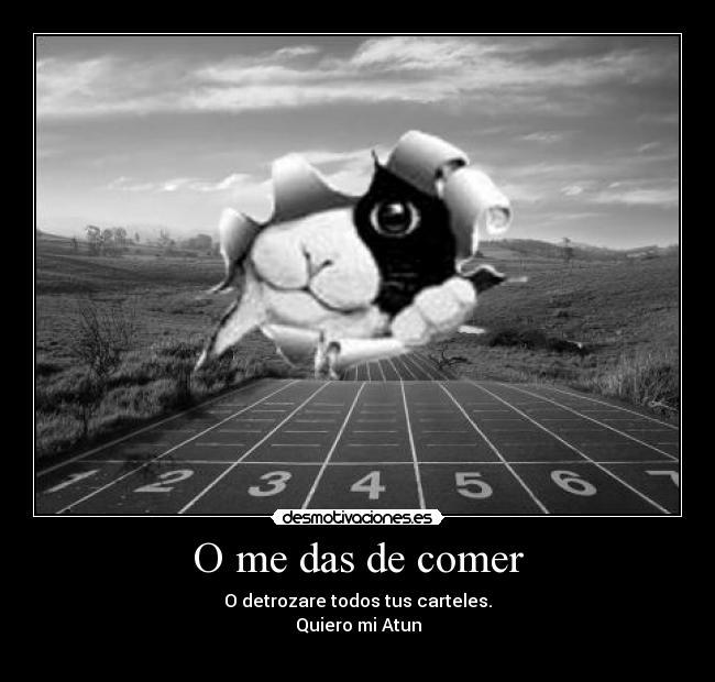 O me das de comer - O detrozare todos tus carteles.
Quiero mi Atun