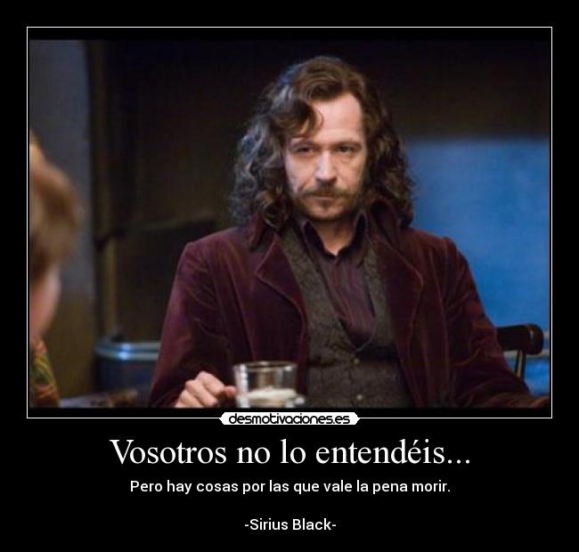 Vosotros no lo entendéis... - Pero hay cosas por las que vale la pena morir.
-Sirius Black-