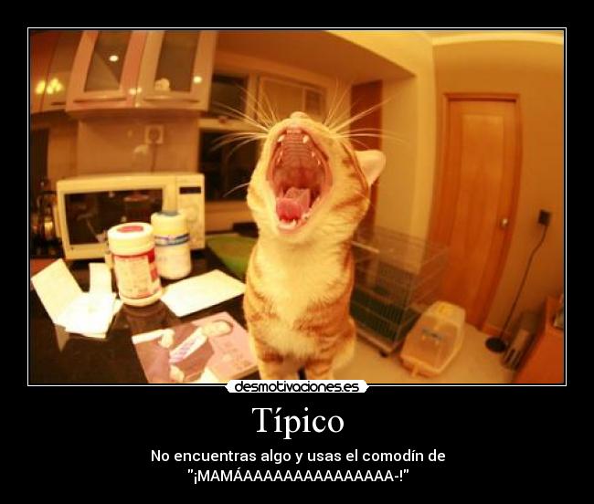 Típico - No encuentras algo y usas el comodín de
¡MAMÁAAAAAAAAAAAAAAA-!