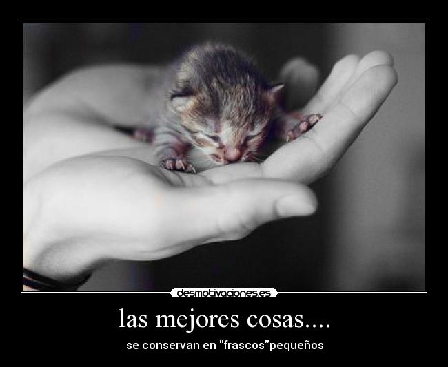 las mejores cosas.... - 