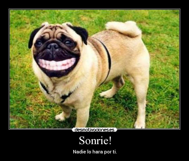 Sonrie! -
