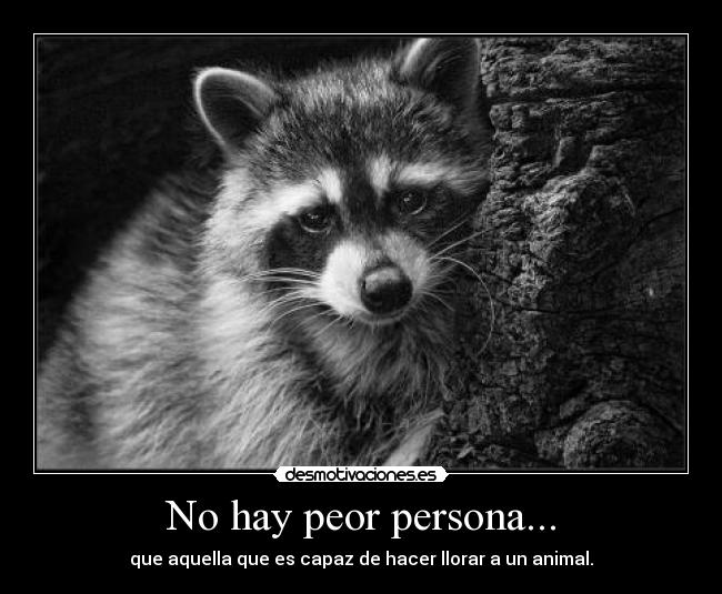 No hay peor persona... - que aquella que es capaz de hacer llorar a un animal.