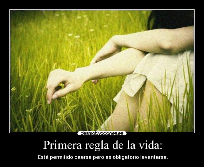Primera regla de la vida: - 
