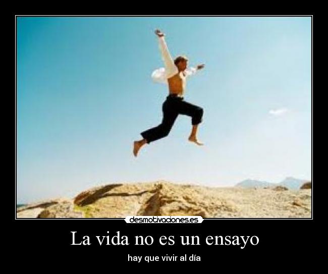 carteles vida ensayo desmotivaciones