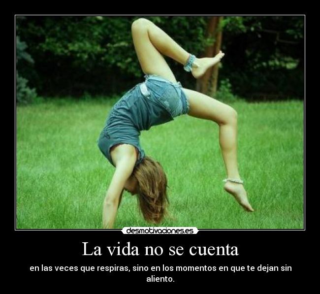 La vida no se cuenta - 