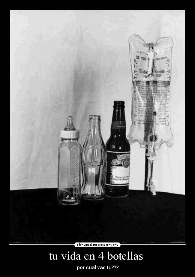 tu vida en 4 botellas -