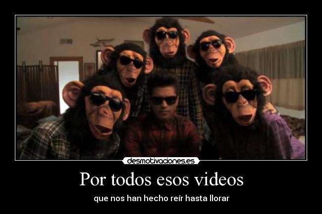 Por todos esos videos - que nos han hecho reír hasta llorar