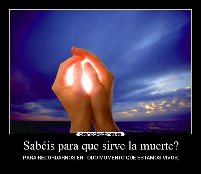 carteles muerte ingrid96 sbe fastopes esperandolamuerte alexia cjsa traka tra lp1996 diiru desmotivaciones