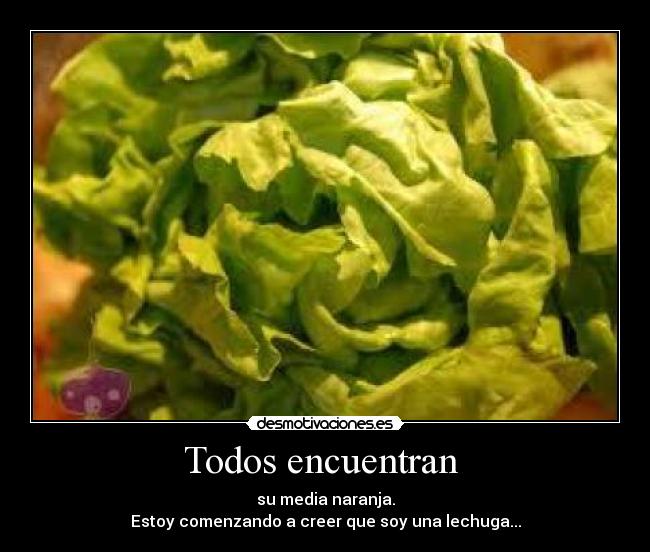 Todos encuentran  - su media naranja.
Estoy comenzando a creer que soy una lechuga...