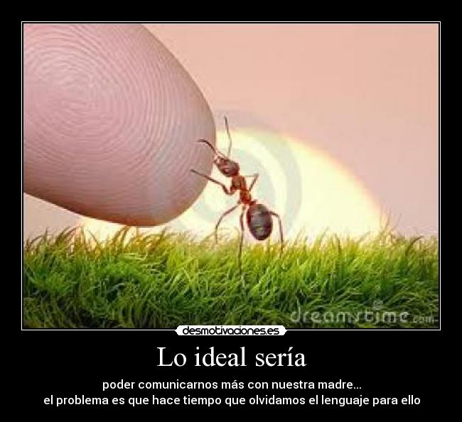 carteles naturaleza desmotivaciones