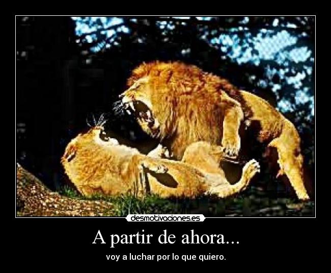 A partir de ahora... - 