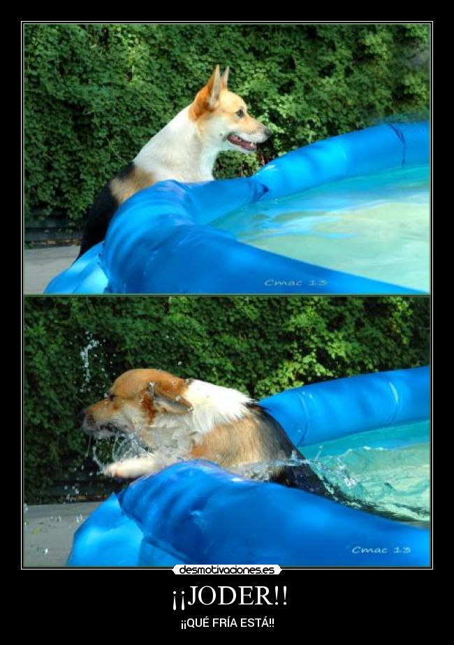 carteles joder desmotivaciones