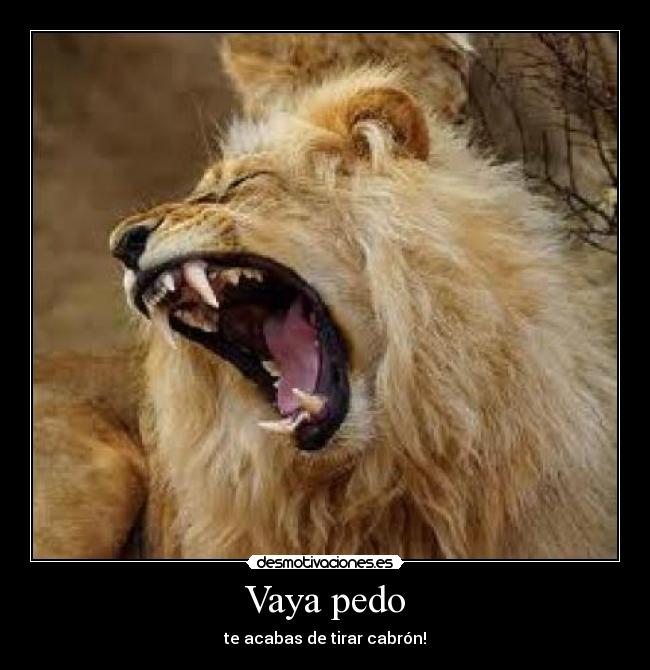 Vaya pedo - te acabas de tirar cabrón!