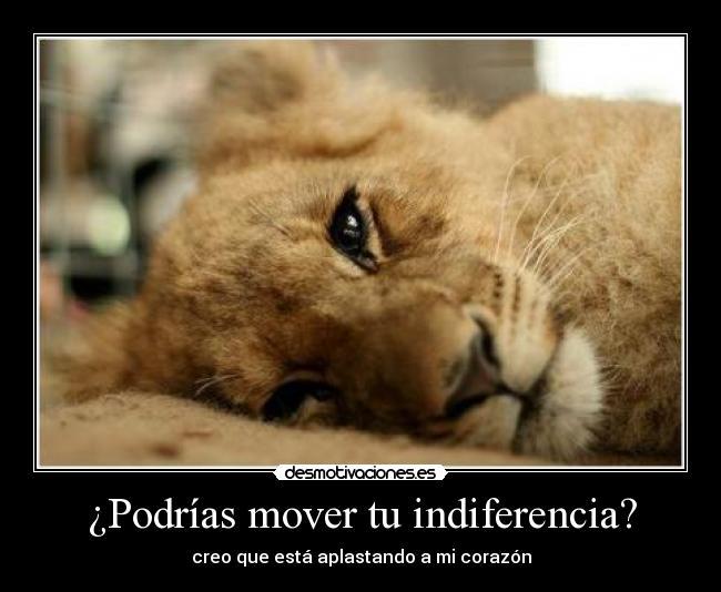 ¿Podrías mover tu indiferencia? -
