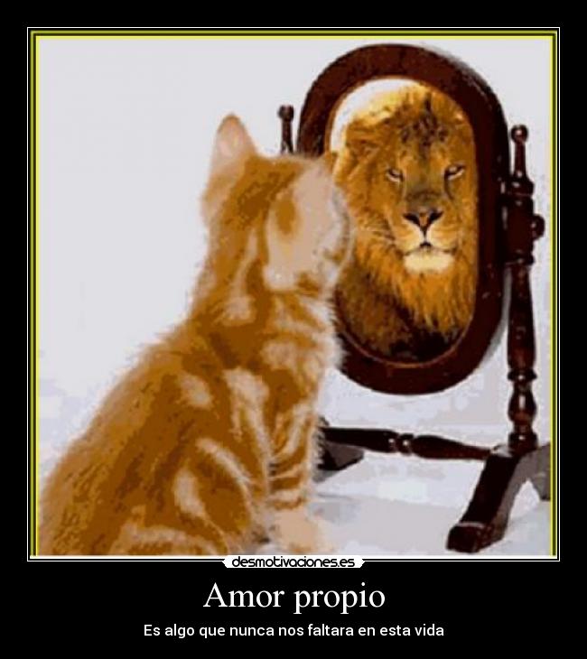 carteles amor isimansill desmotivaciones