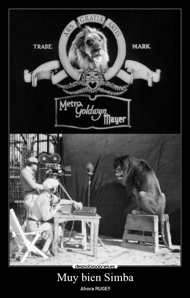 Muy bien Simba - 