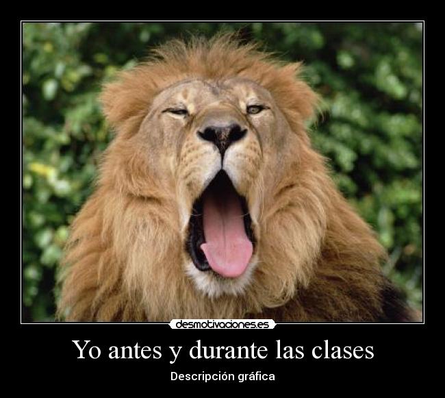 Yo antes y durante las clases -