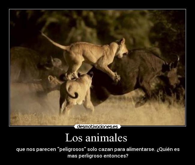 Los animales  - 