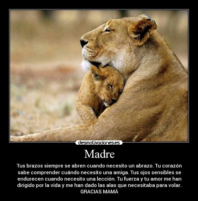 Madre - Tus brazos siempre se abren cuando necesito un abrazo. Tu corazón
sabe comprender cuándo necesito una amiga. Tus ojos sensibles se
endurecen cuando necesito una lección. Tu fuerza y tu amor me han
dirigido por la vida y me han dado las alas que necesitaba para volar.
GRACIAS MAMÁ