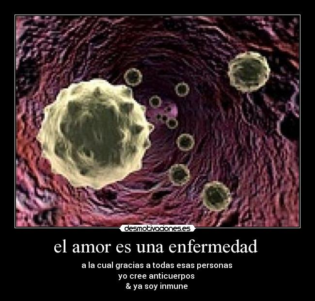 carteles amor inmune amor desmotivaciones
