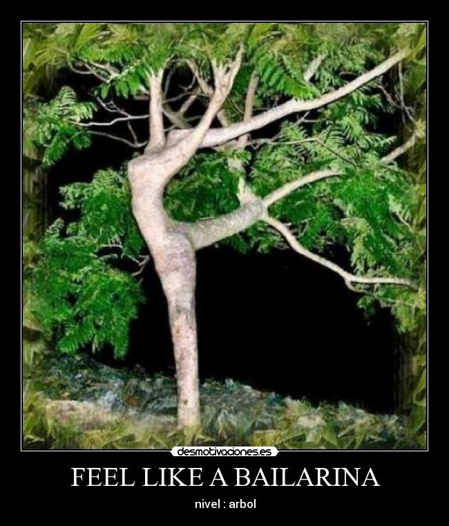 carteles jjjotilla desmotivaciones