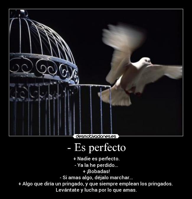 - Es perfecto - + Nadie es perfecto.
- Ya la he perdido...
+ ¡Bobadas!
- Si amas algo, déjalo marchar...
+ Algo que diría un pringado, y que siempre emplean los pringados.
Levántate y lucha por lo que amas.