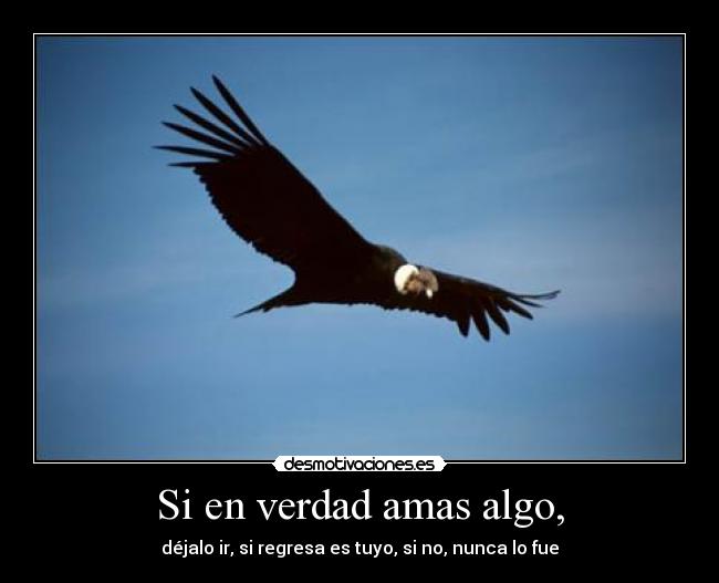 Si en verdad amas algo, - déjalo ir, si regresa es tuyo, si no, nunca lo fue