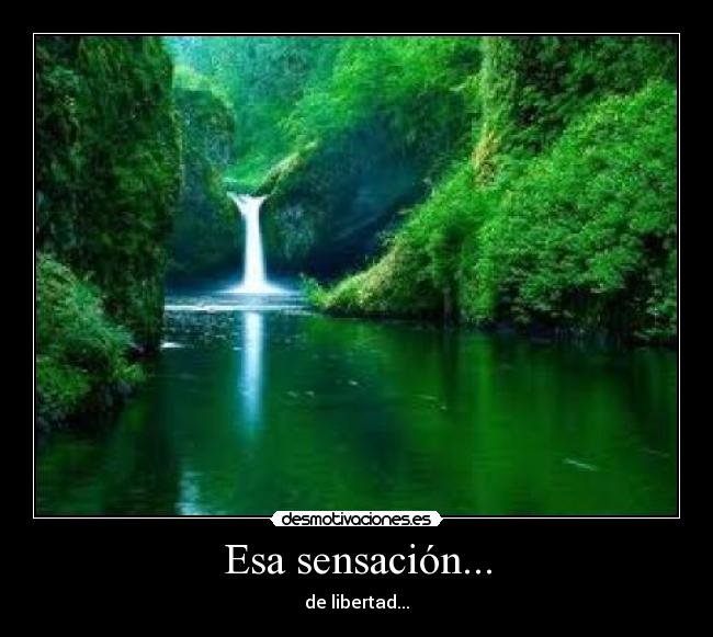 Esa sensación... -