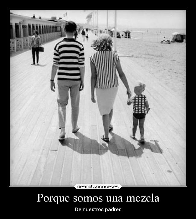 carteles padres desmotivaciones