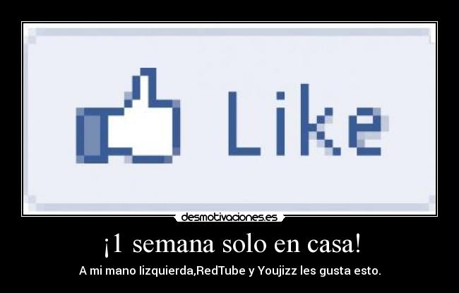 ¡1 semana solo en casa! - 