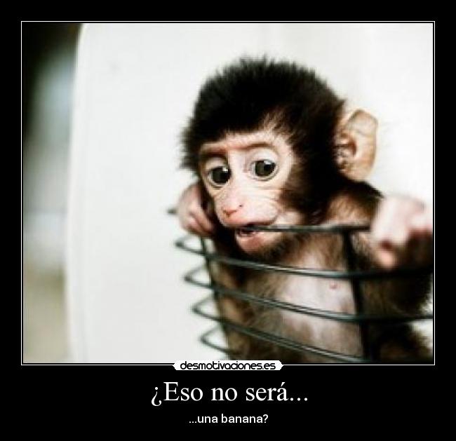 ¿Eso no será... - 