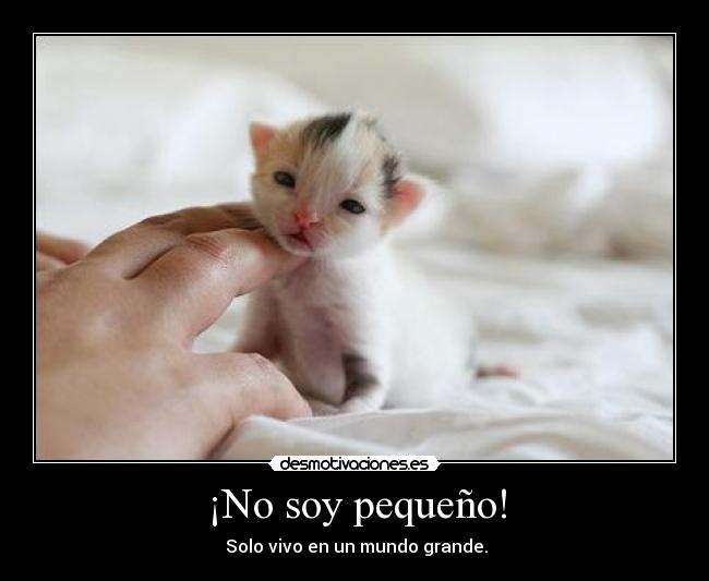 ¡No soy pequeño! -