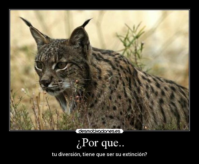 ¿Por que.. -