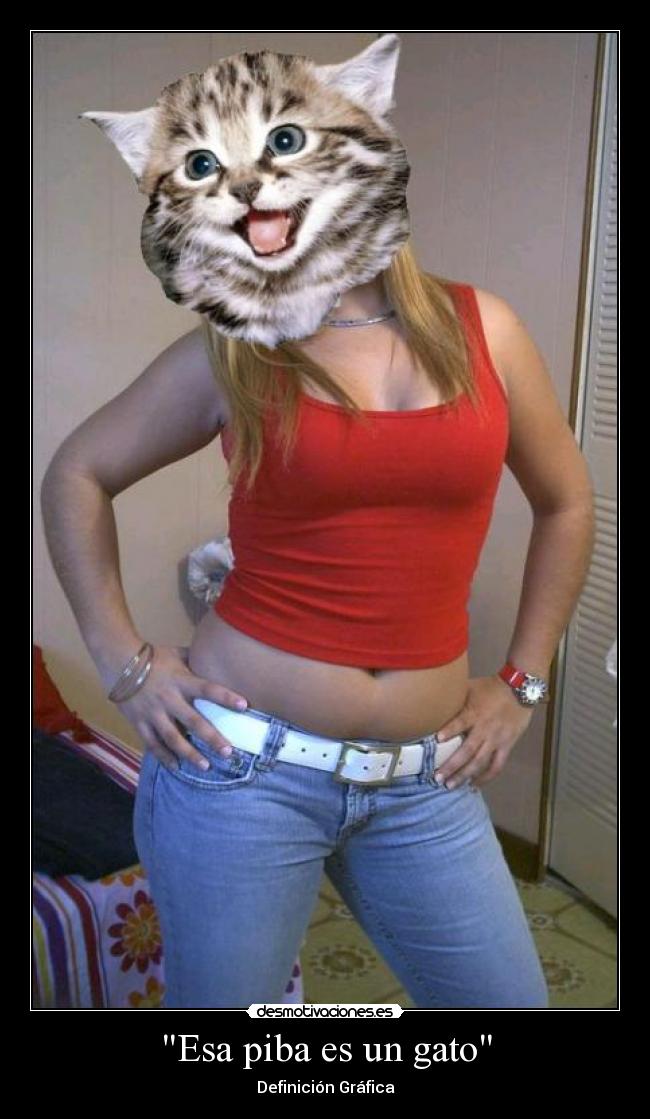 Esa piba es un gato - Definición Gráfica