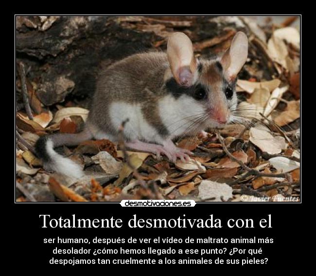 Totalmente desmotivada con el  - 