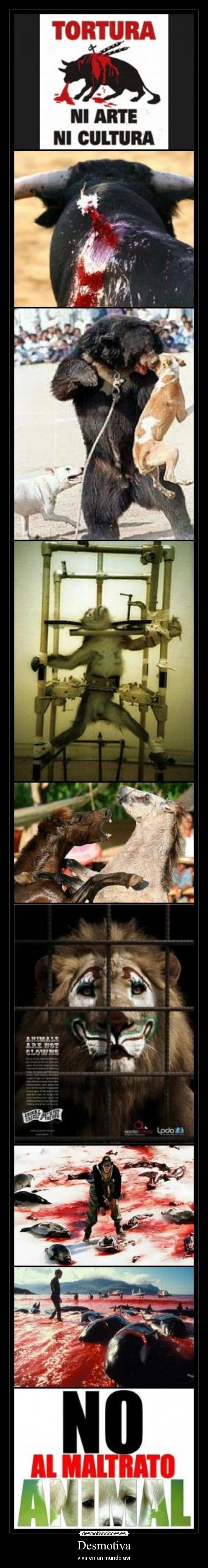 Desmotiva - vivir en un mundo así