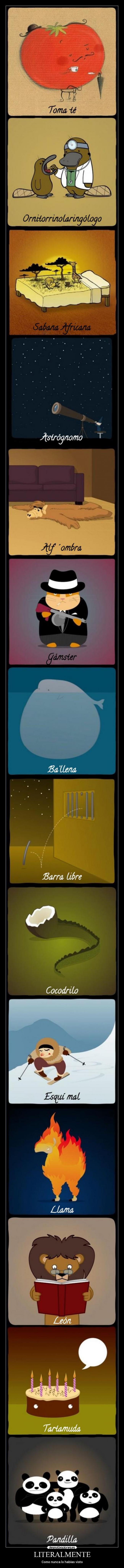 LITERALMENTE - Como nunca lo habías visto