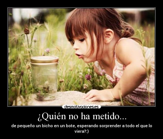 ¿Quién no ha metido... - de pequeño un bicho en un bote, esperando sorprender a todo el que lo viera?:)