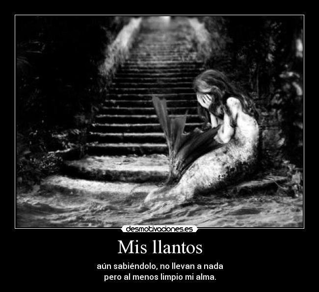 carteles llorarllantollantossabernadalimpiaralmablanconegroblanco negrosirenamarchica desmotivaciones