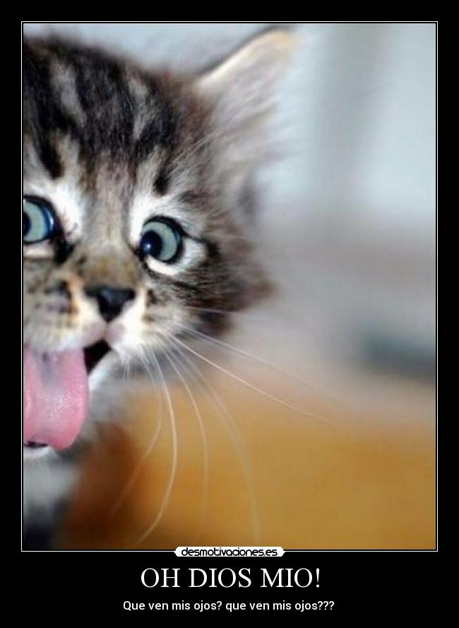 OH DIOS MIO! - Que ven mis ojos? que ven mis ojos???
