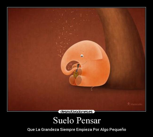 Suelo Pensar -