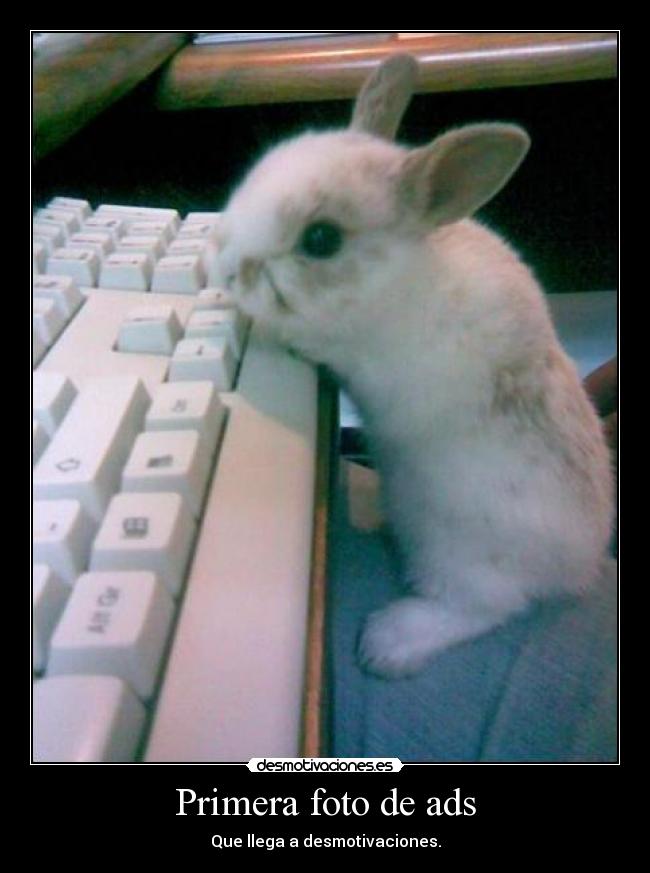 Primera foto de ads - 