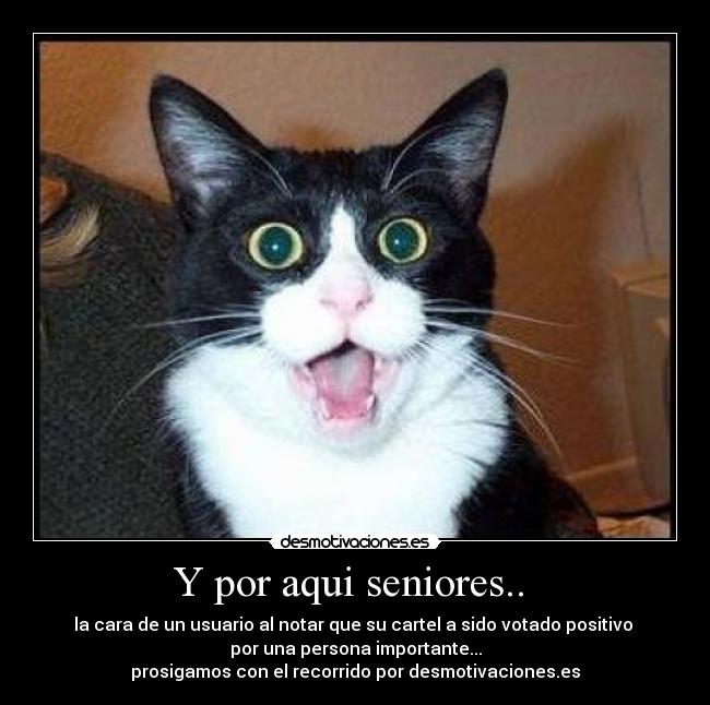 Y por aqui seniores.. - la cara de un usuario al notar que su cartel a sido votado positivo
por una persona importante...
prosigamos con el recorrido por desmotivaciones.es