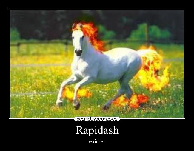 Rapidash - 