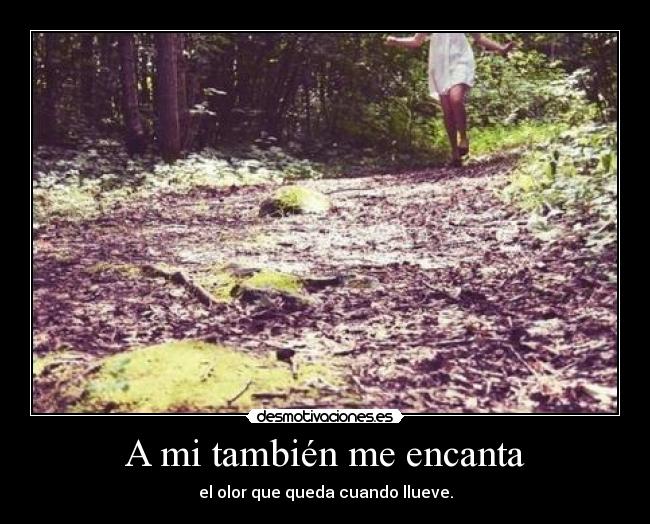 carteles olor lluvia desmotivaciones